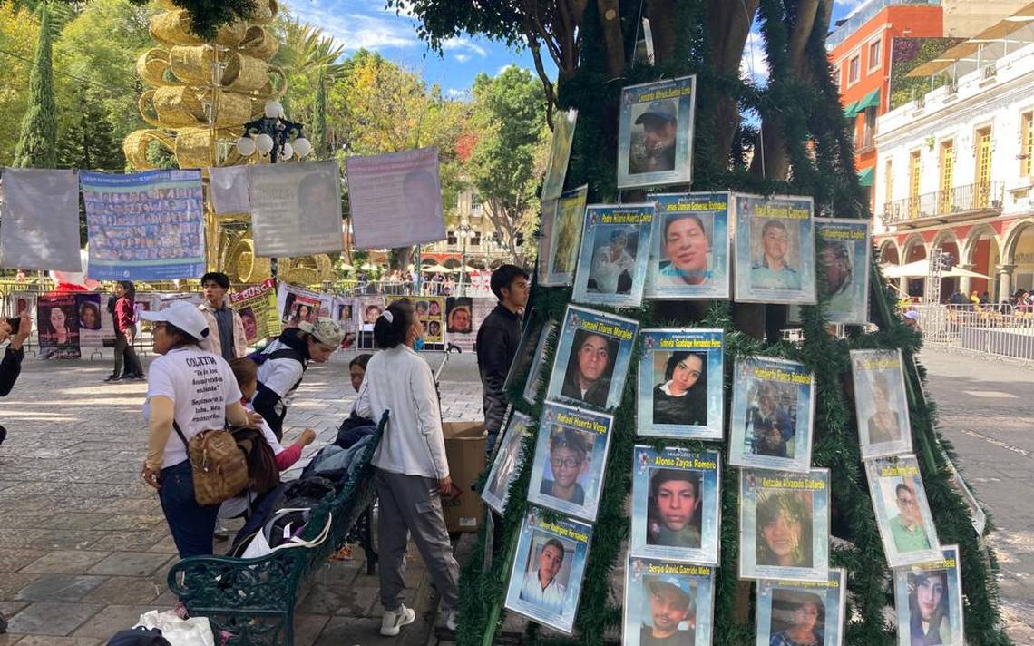 Colectivo Voz De Los Desaparecidos Coloca 'Arbol De La Esperanza' En El ...